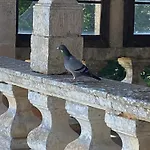 Chateau De Cibioux Bed and breakfast 3*