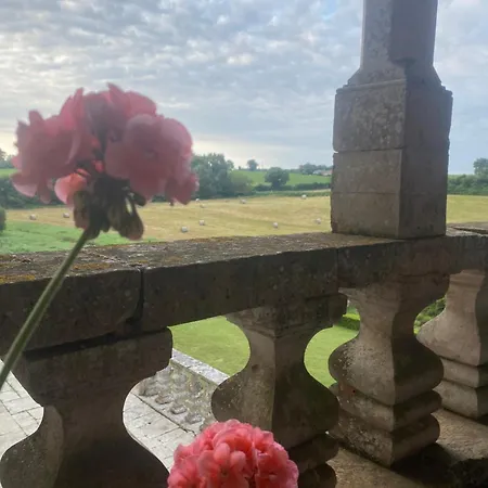 Château De Cibioux Surin (Vienne)