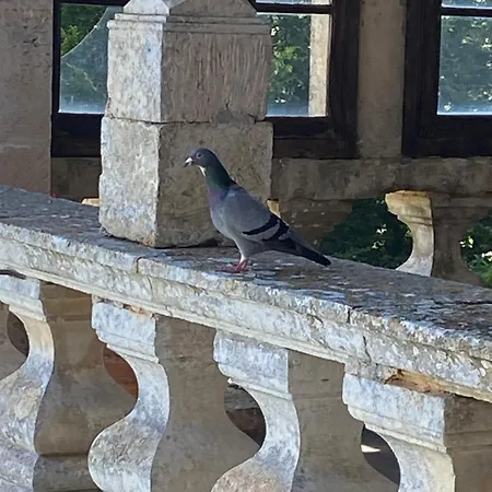 Chateau De Cibioux Couette-café *