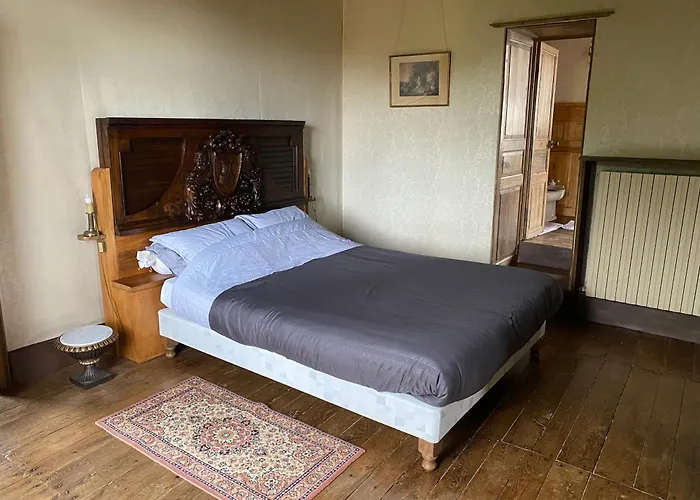 Chateau De Cibioux Bed & Breakfast Surin (Vienne)